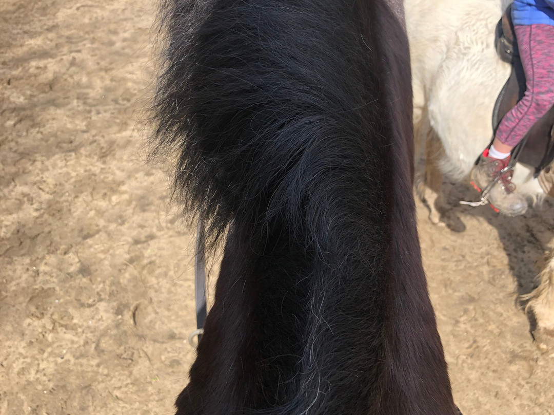Crosswell Riding Stables-Crymych必去景点