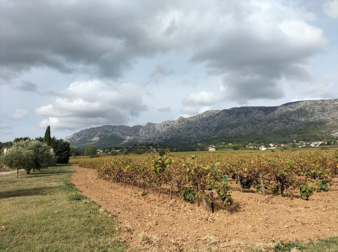 Happy Day In Provence景点图片