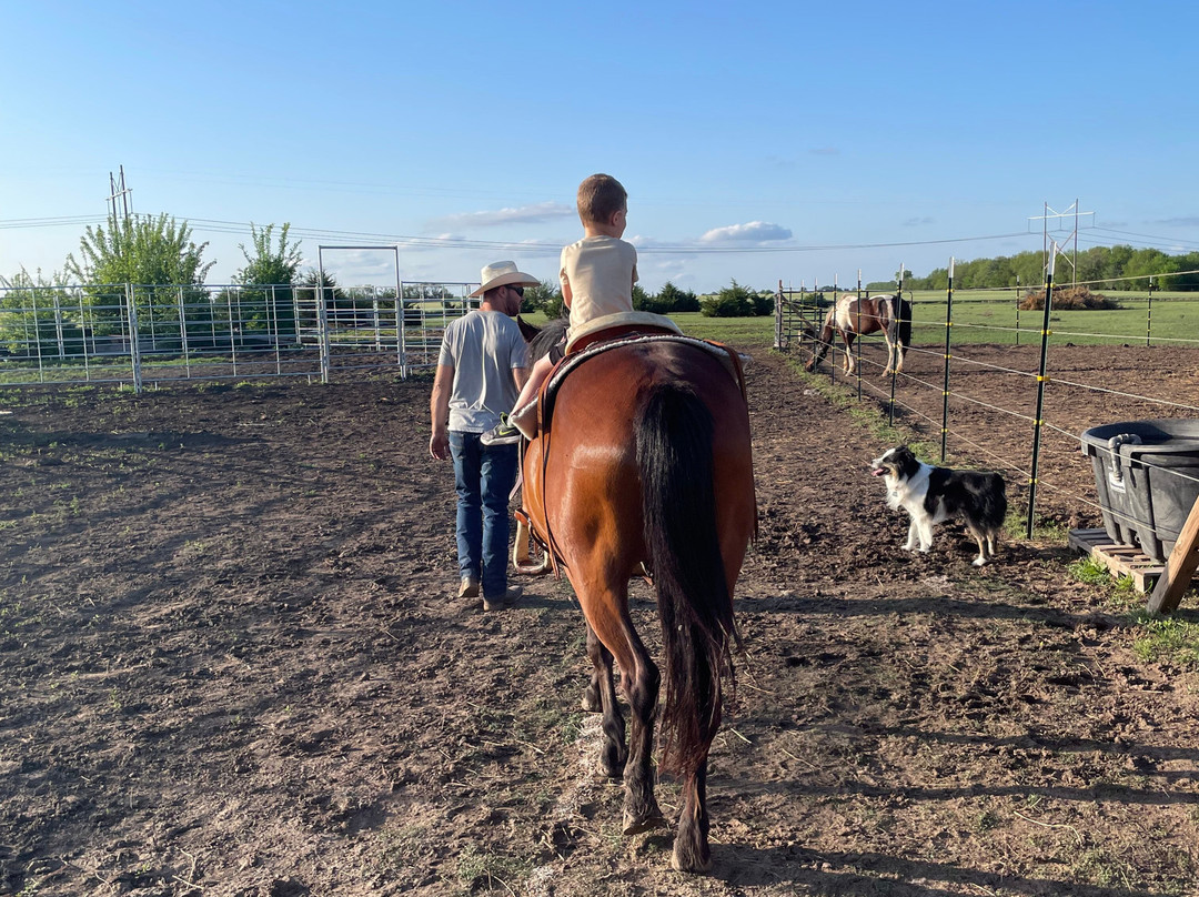Diamond Springs Ranch-Sedgwick必去景点