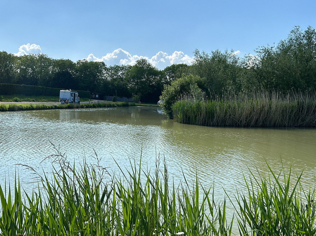 Waterloo Farm Leisure Fishery景点图片