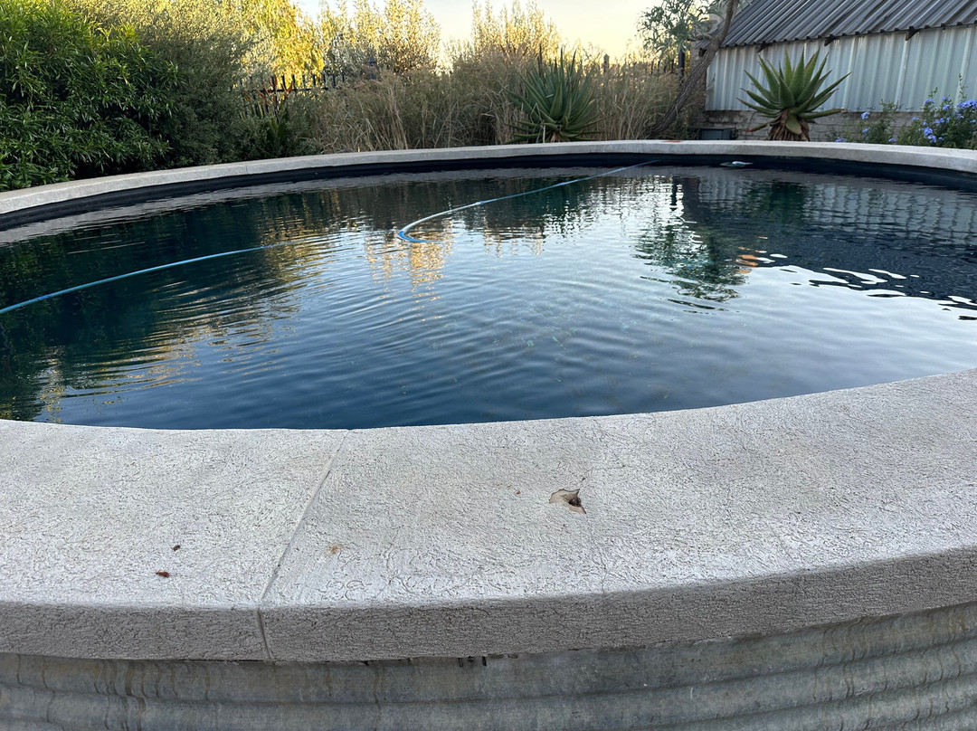 Liedjiesbos B&B and Urban Olive Farm主图