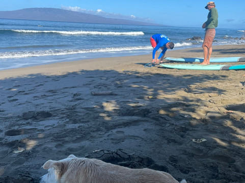 Local Pros Maui-拉海纳必去景点