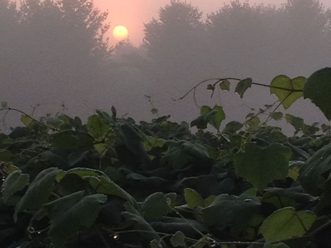 Burrone Family Vineyards And Winery, LLC