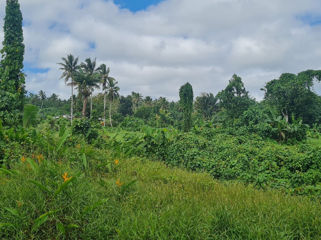 Fuipisia Waterfall-Upolu必去景点