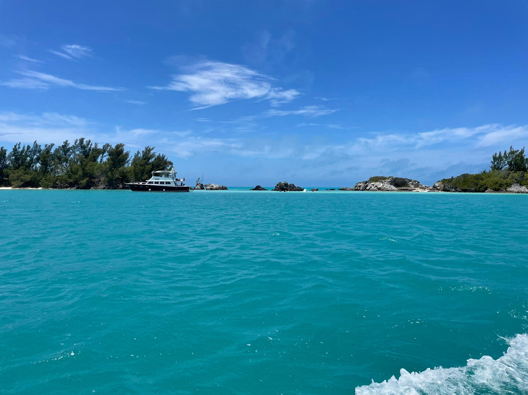 Mona Lisa Cruises-汉密尔顿必去景点