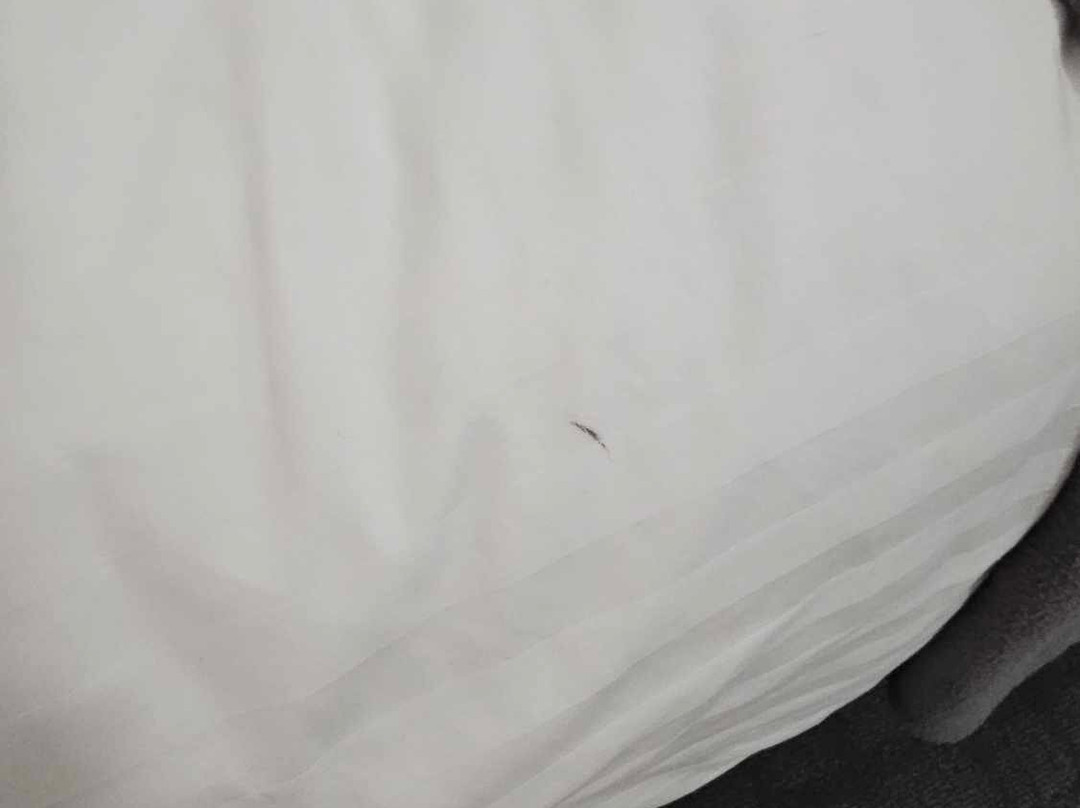 Mallacoota Hotel Motel主图