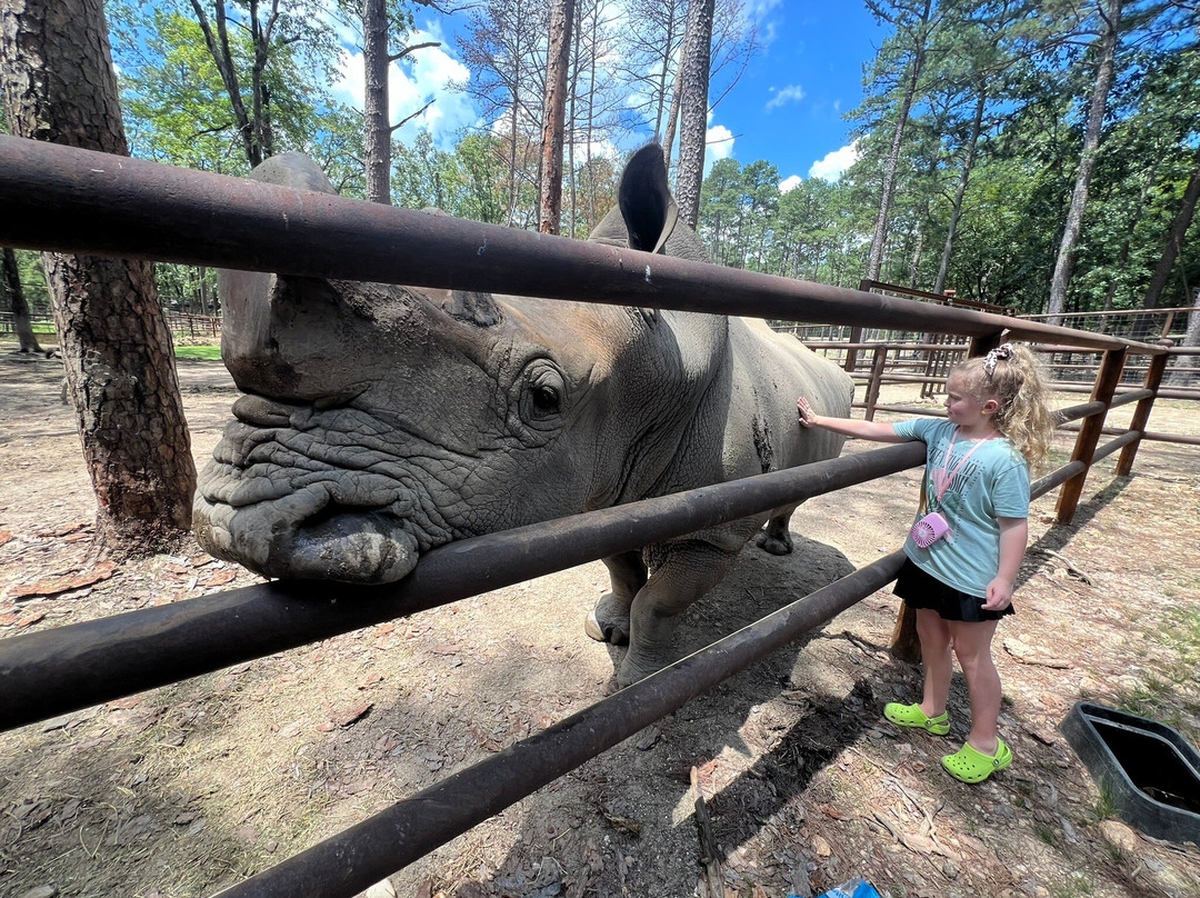 Beavers Bend Safari Park景点图片