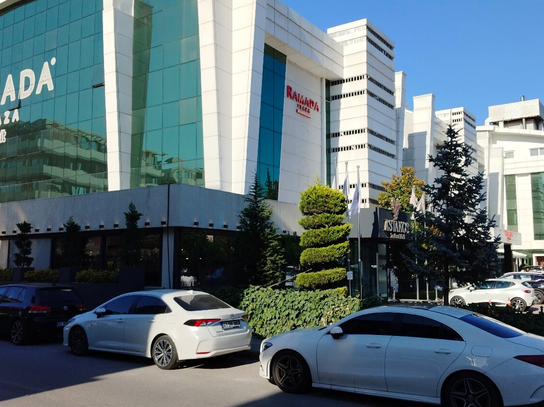 Ramada Plaza by Wyndham Izmit主图