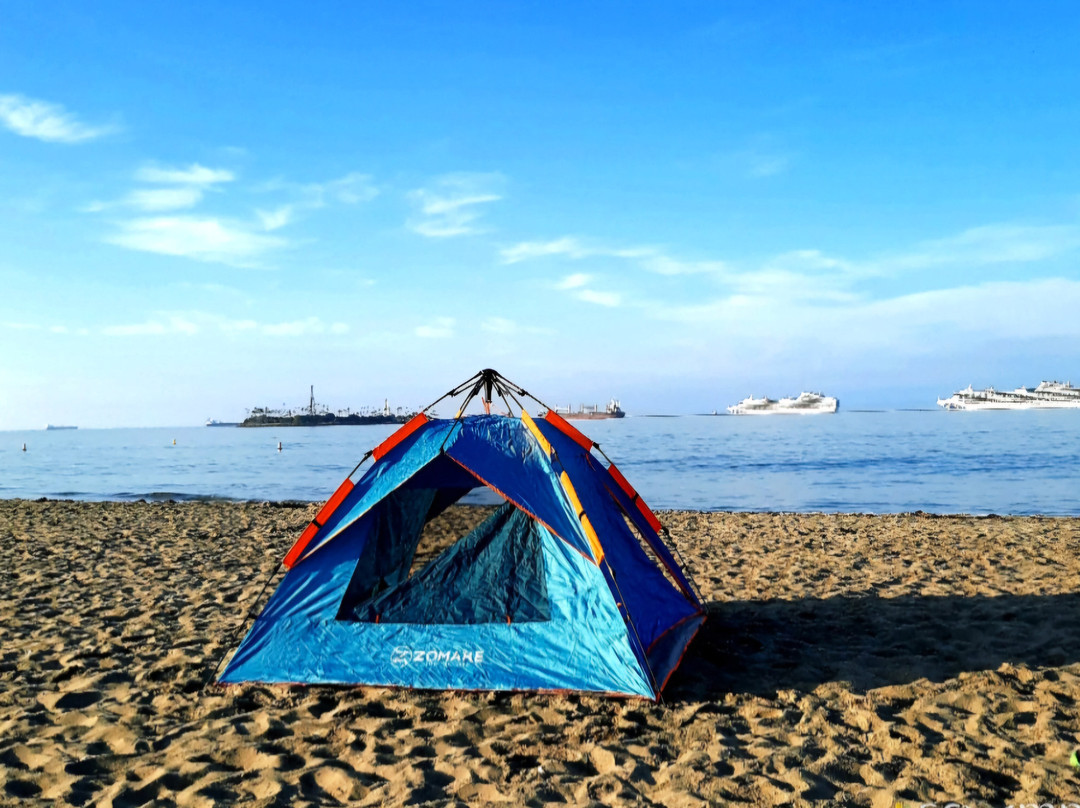 Rosie's Dog Beach-长滩必去景点