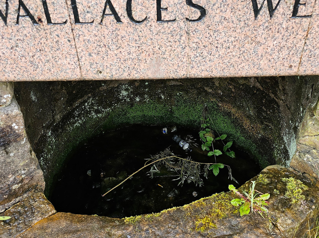 Wallace Well and Monument Robroyston-格拉斯哥必去景点