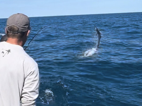 Broome Billfish Charters-布鲁姆必去景点