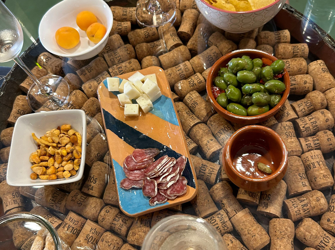 Cava Sola Raventos景点图片