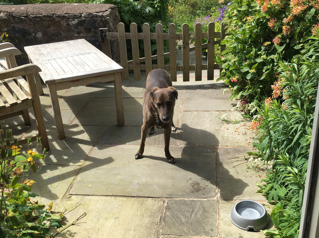 潘益典雅芙蓉玉女乡村酒店主图