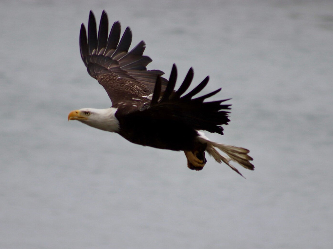 All Time Fishing-Kasilof必去景点