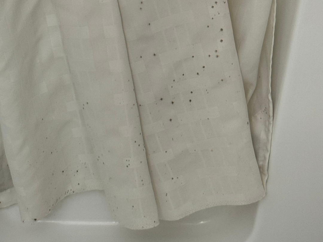 Comfort Inn Moline - Quad Cities主图