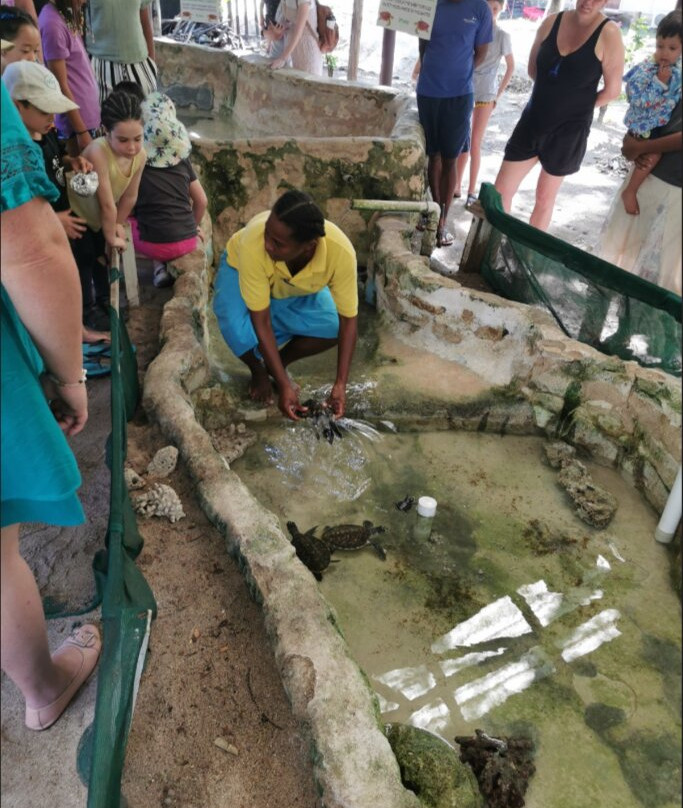 金银岛酒店主图