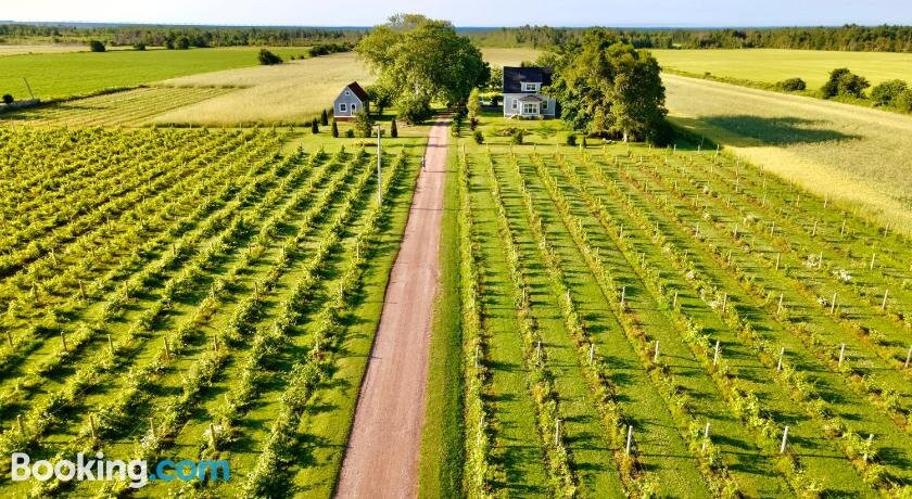 Sunbury Cove Winery主图