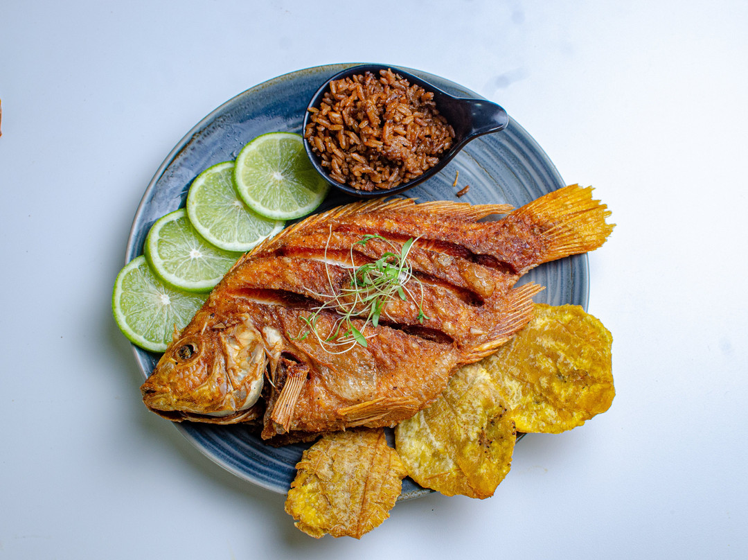 Ibis Kitchen Cartagena