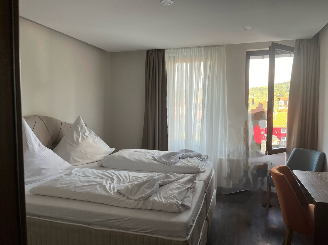 Hotel-Burghagen主图