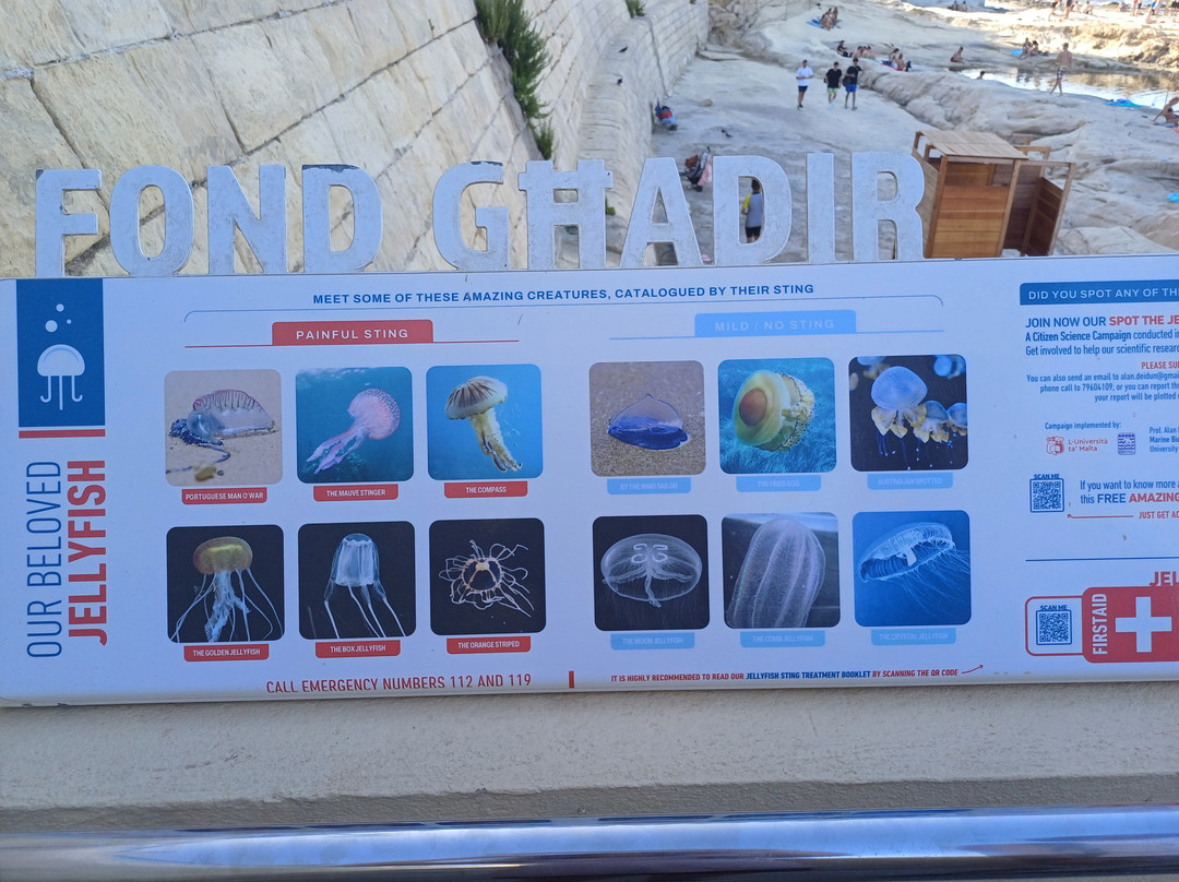 Victorian-era Baths-斯利马必去景点