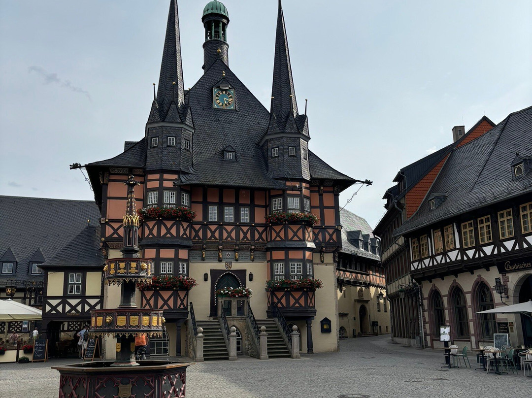 Carea Harz Hotel Allrode主图