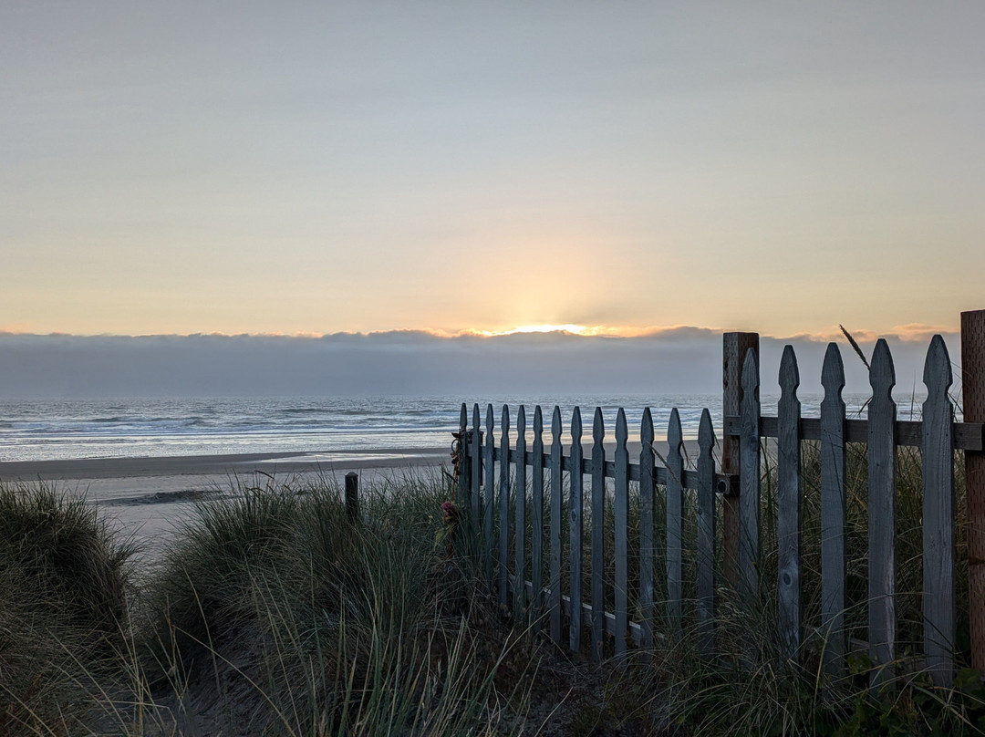 Cedar Wetlands Preserve-Rockaway Beach必去景点