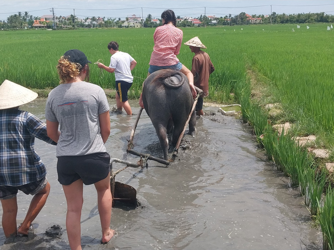 Hoi An Eco Tourism-会安必去景点