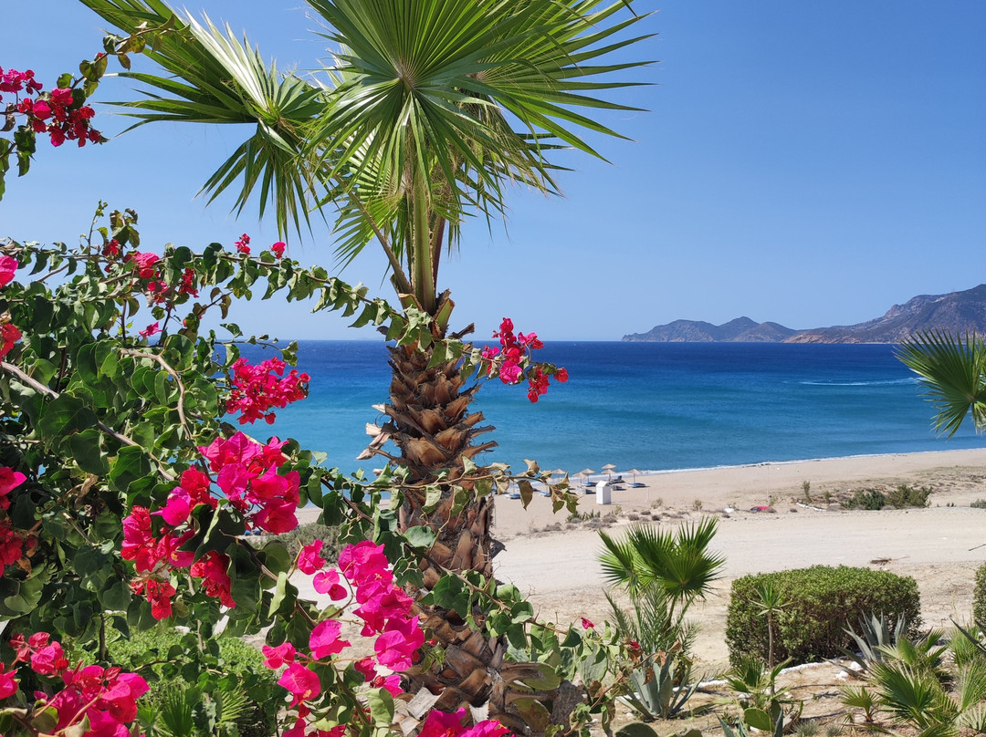 Psilos Gremos Beach-Kós必去景点