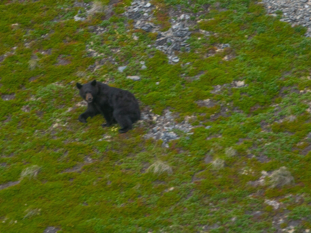 Scenic Mountain Air-穆斯帕斯必去景点