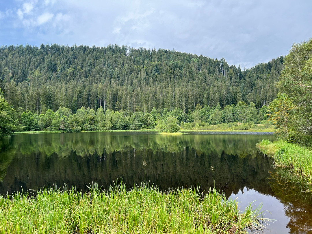 Nationaal park Schwarzwald-Seebach必去景点