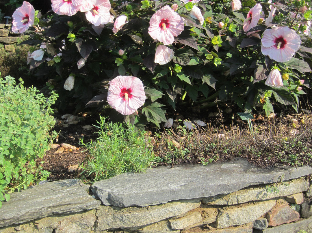 Stoneleigh: A Natural Garden-Villanova必去景点