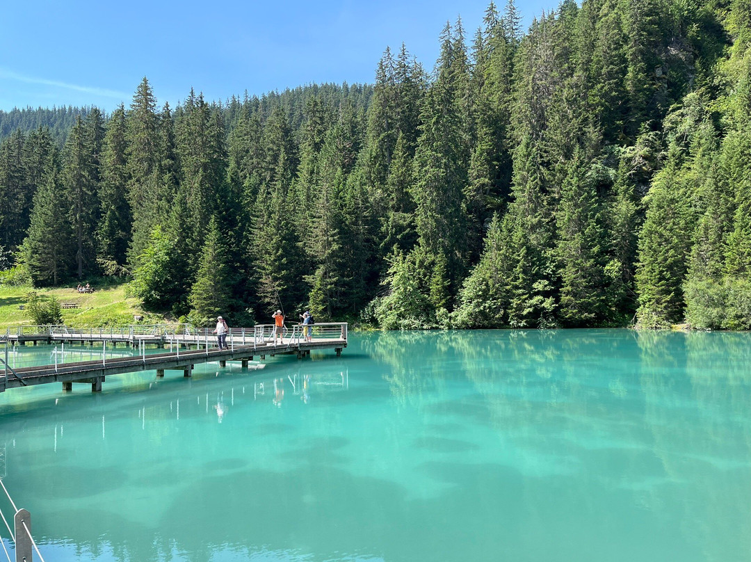 Lac de la Rosière景点图片
