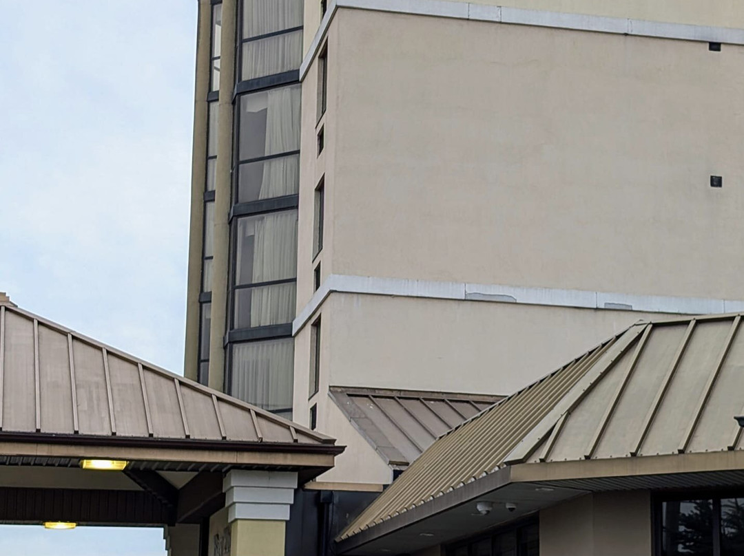 Quality Inn & Suites Bay Front主图