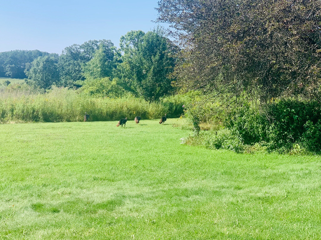 University of Wisconsin-Madison Arboretum-麦迪逊必去景点