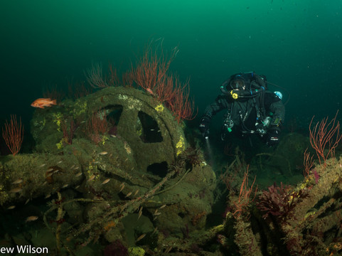 Marissa Dive Charters-圣地亚哥必去景点