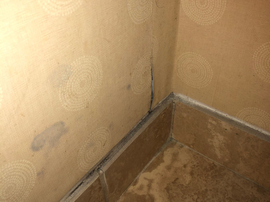 贝塞斯达美利坚饭店主图