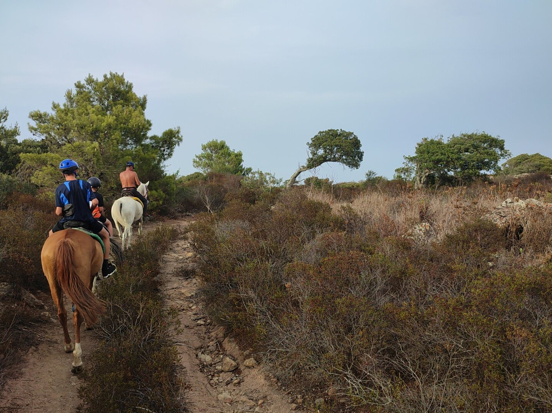 River Ranch Asd Sedini