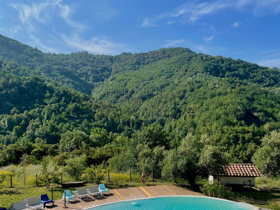 Azienda Agricola Piano di Andrea主图