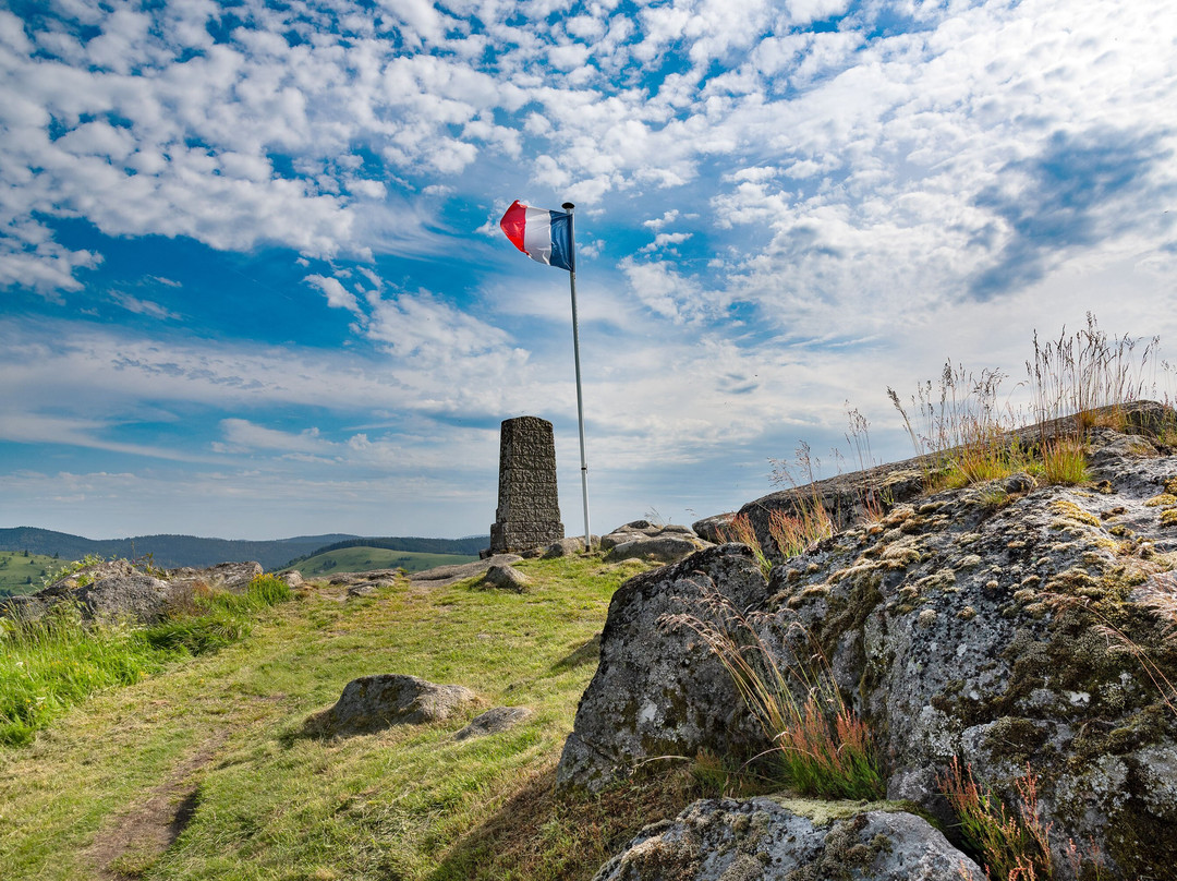 Le Maquis De La Brayotte