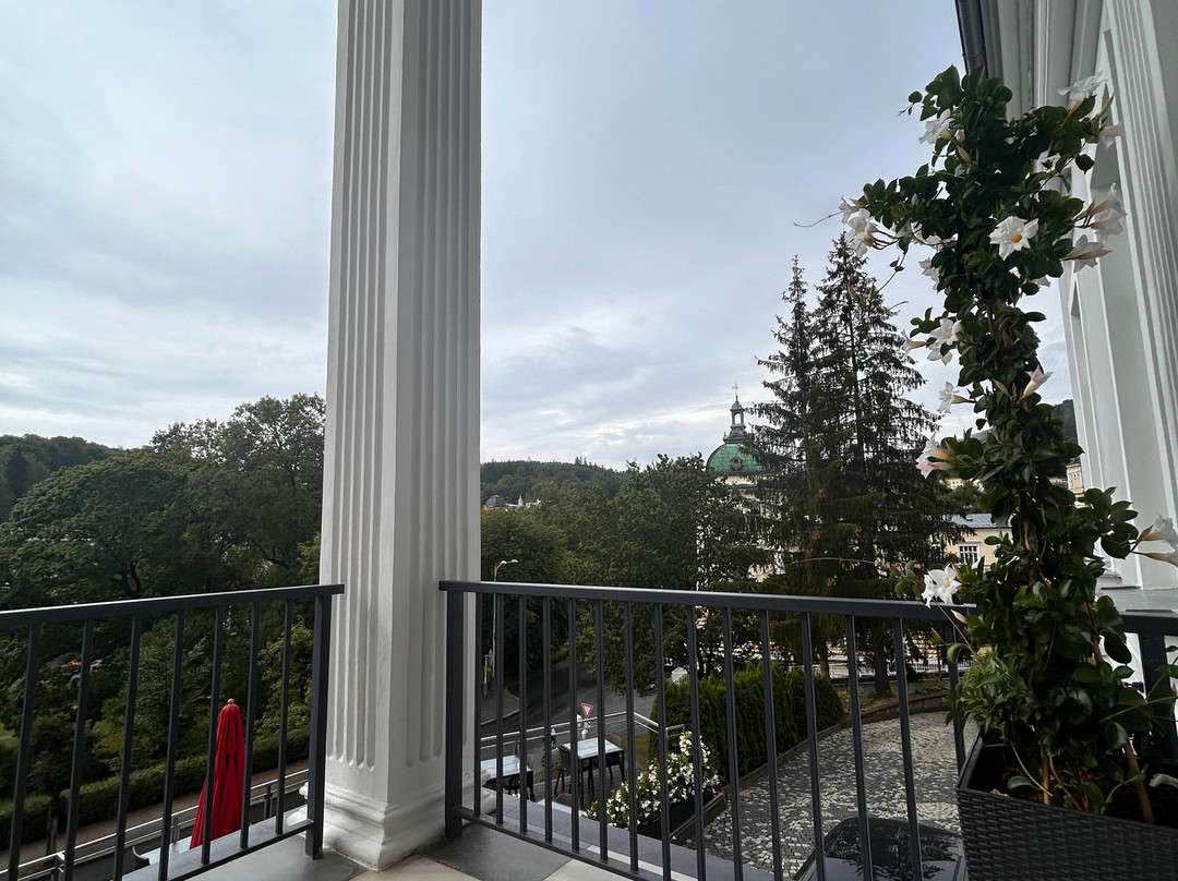Gourmet Hotel Villa Patriot主图