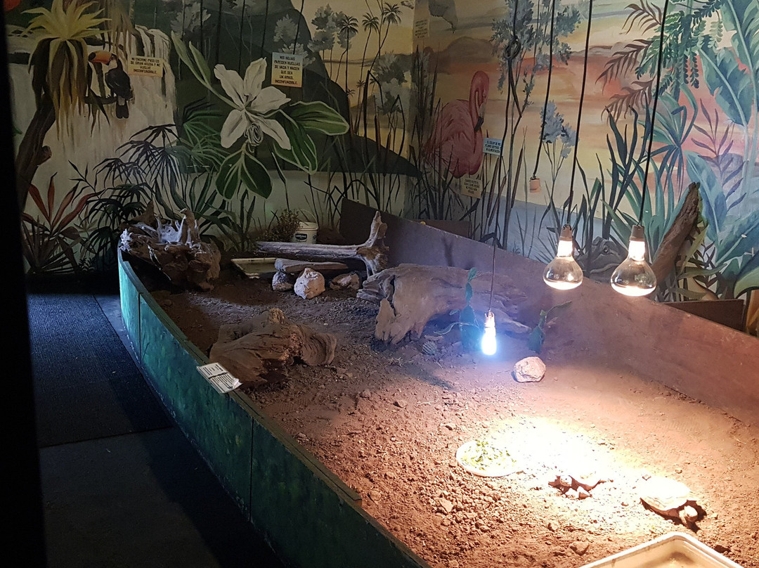 Serpentario Educativo de Tigre-蒂格雷必去景点