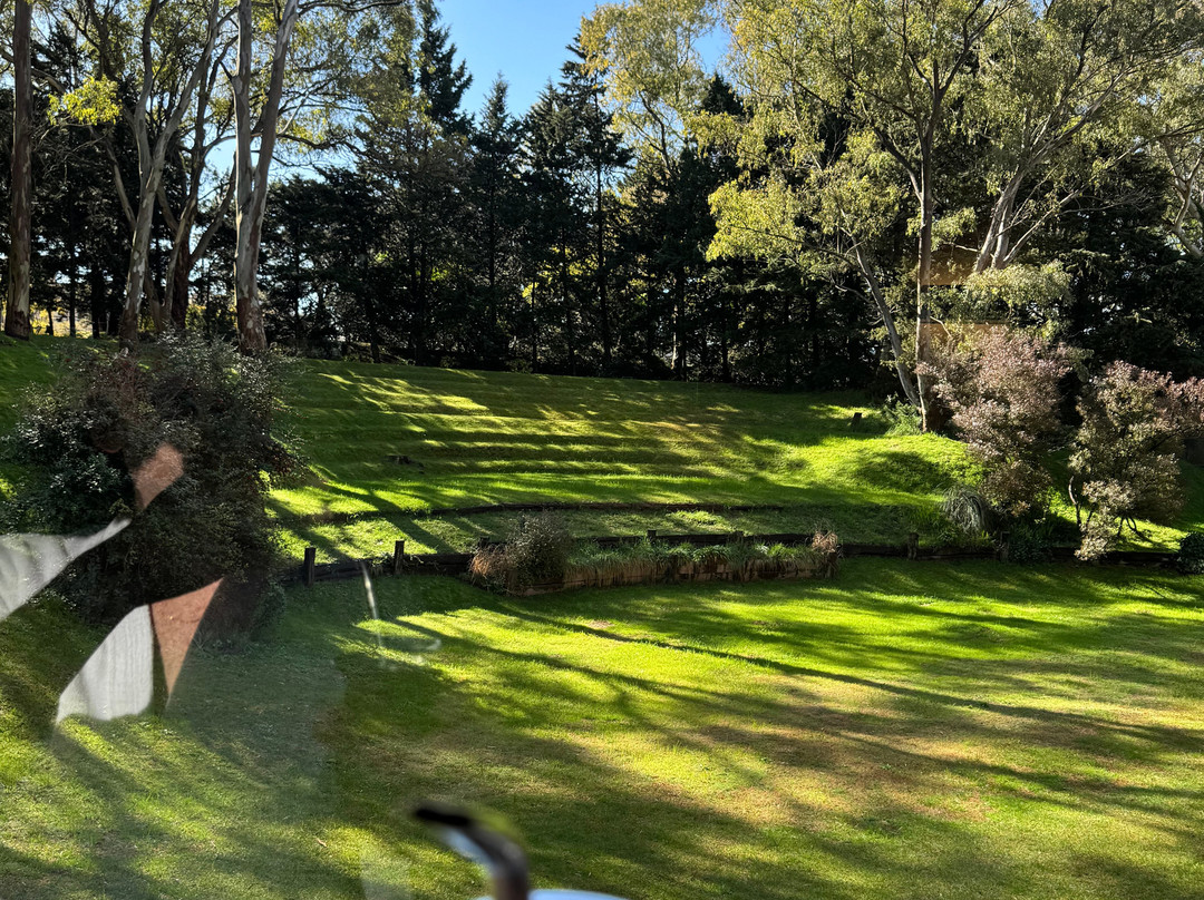 Hotel Del Bosque主图