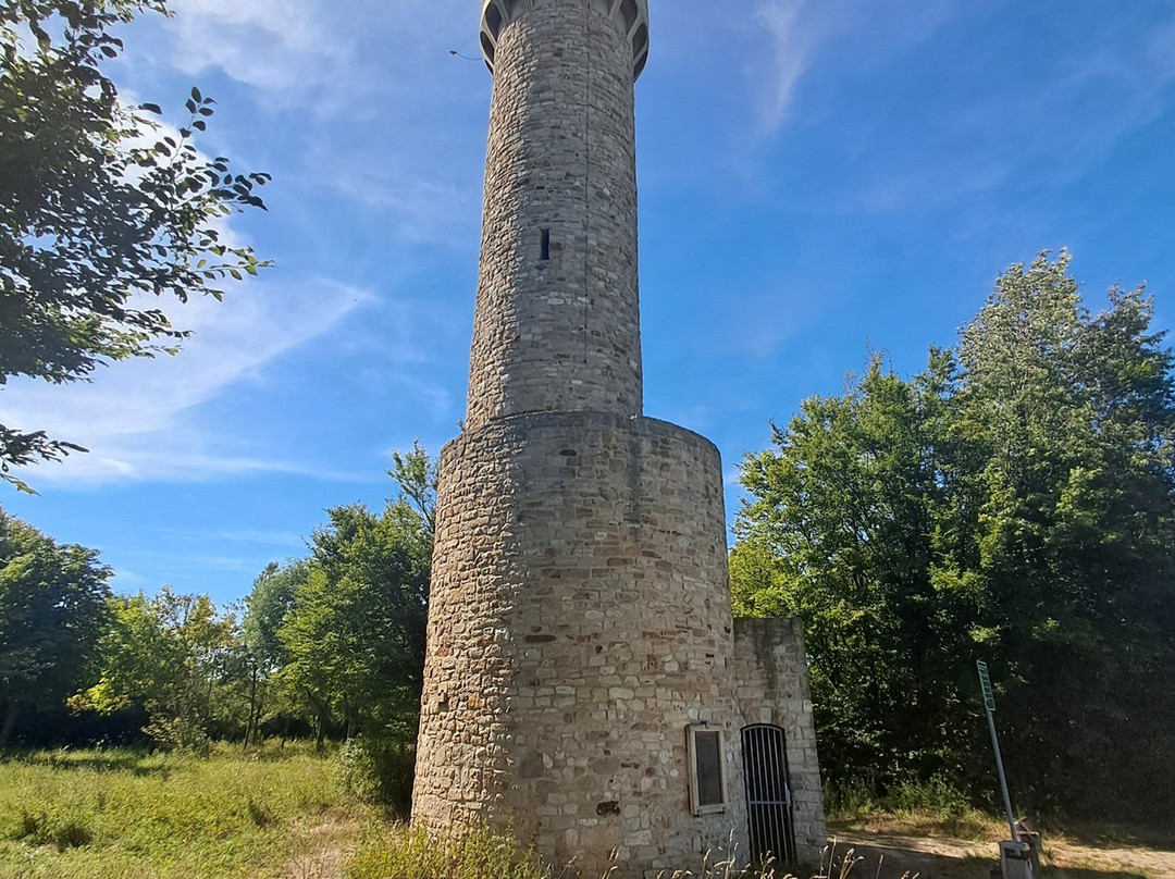 Wartbergturm景点图片