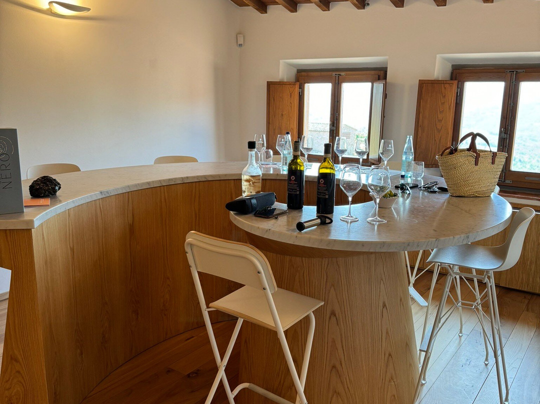 Tenuta Casenuove Winery景点图片
