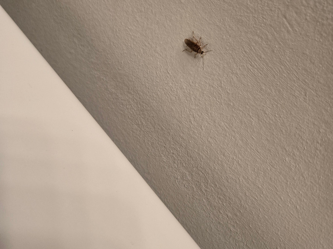 Kalani Retreat Center主图