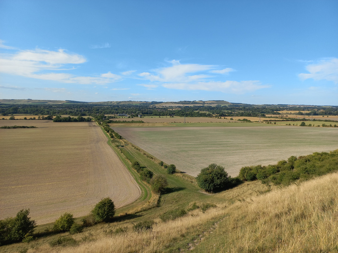 Pewsey White Horse景点图片