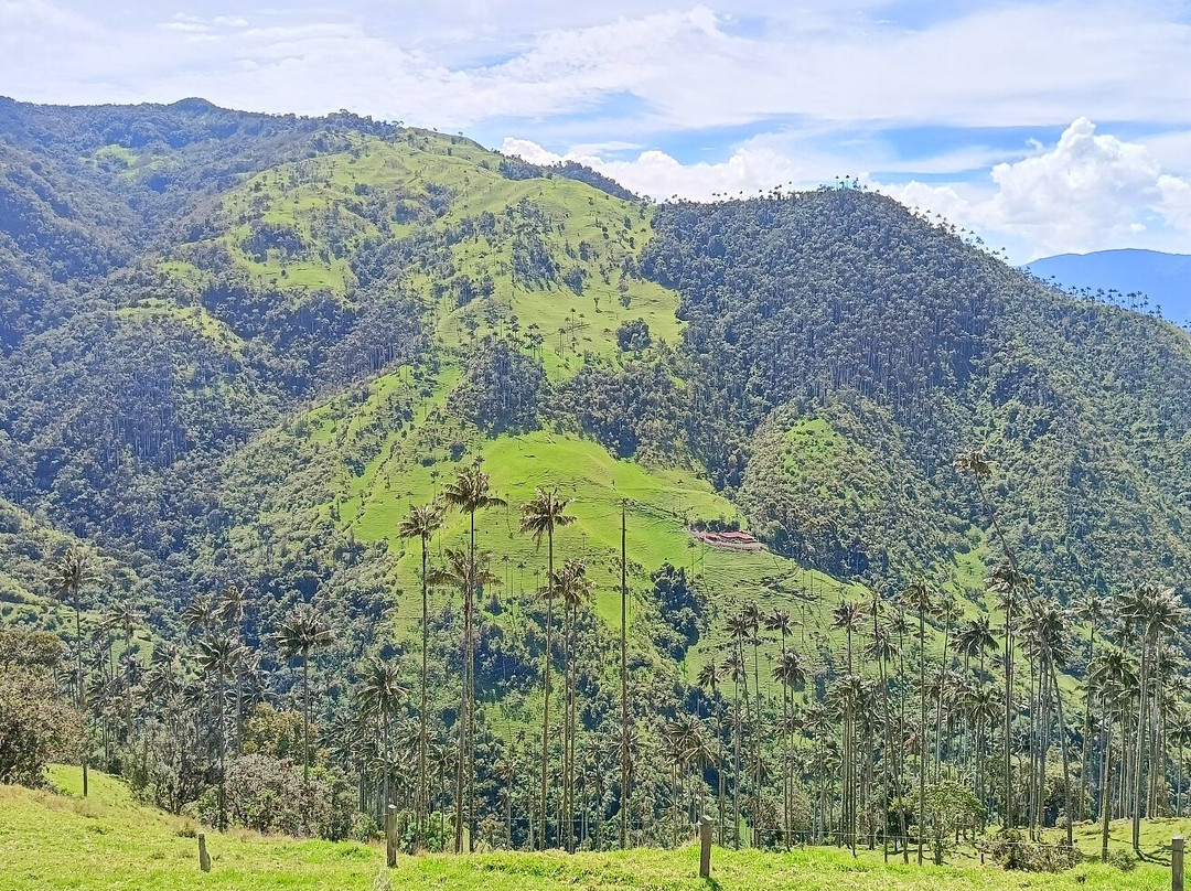 Salento Hikers-萨伦托必去景点