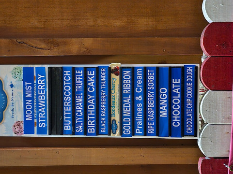 Fun In The Sun Ice Cream Parlour