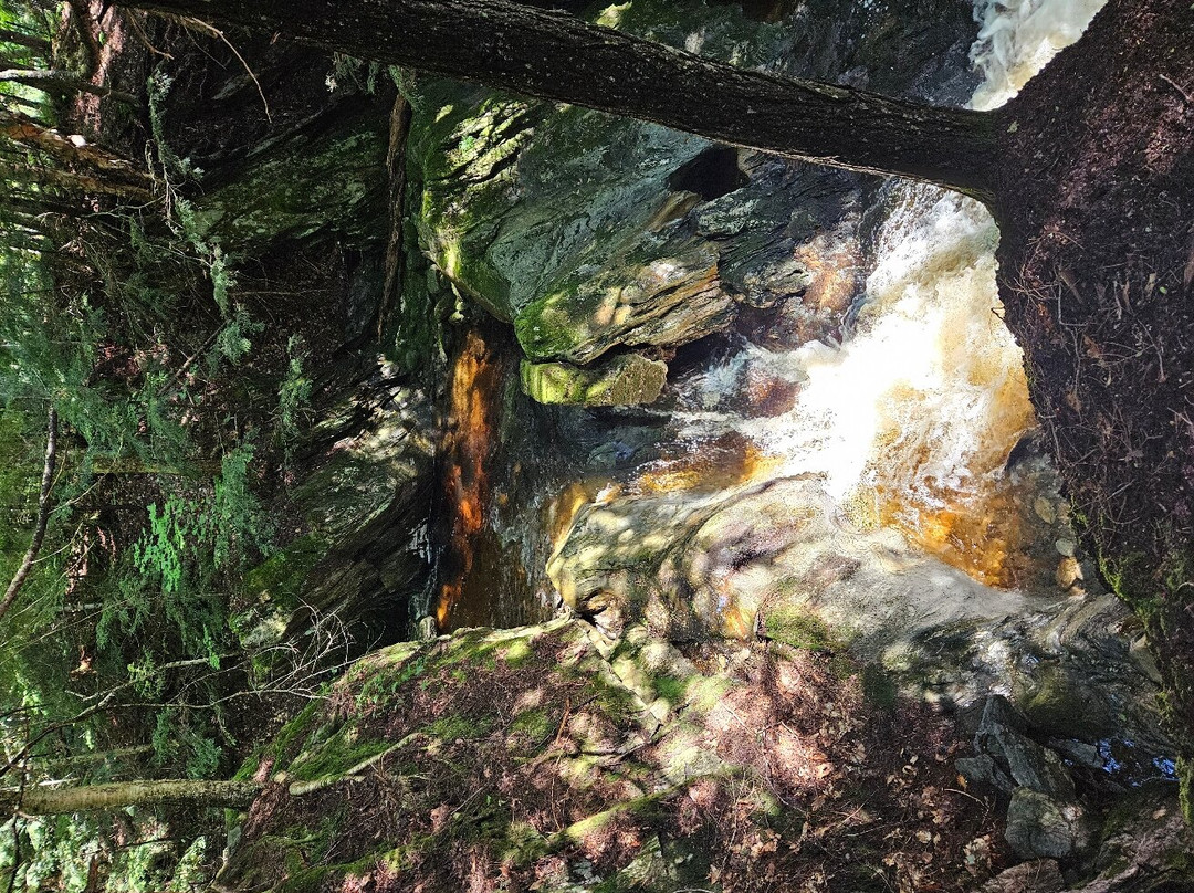 Sterling Falls Gorge-斯托必去景点