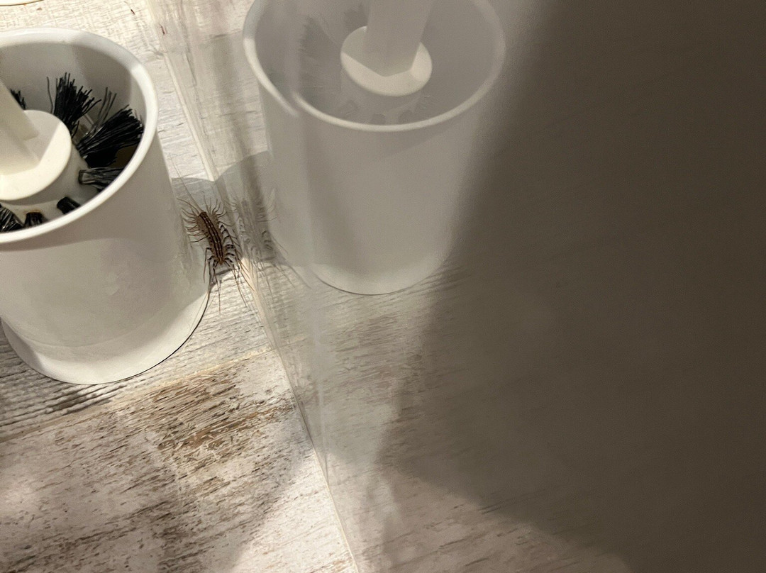 Kahlenberg Apartments主图